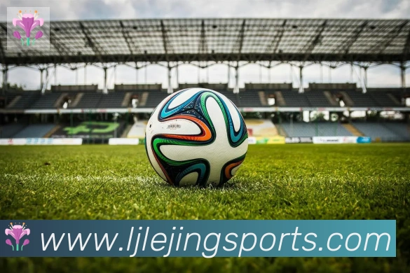 乐竞体育发展历程